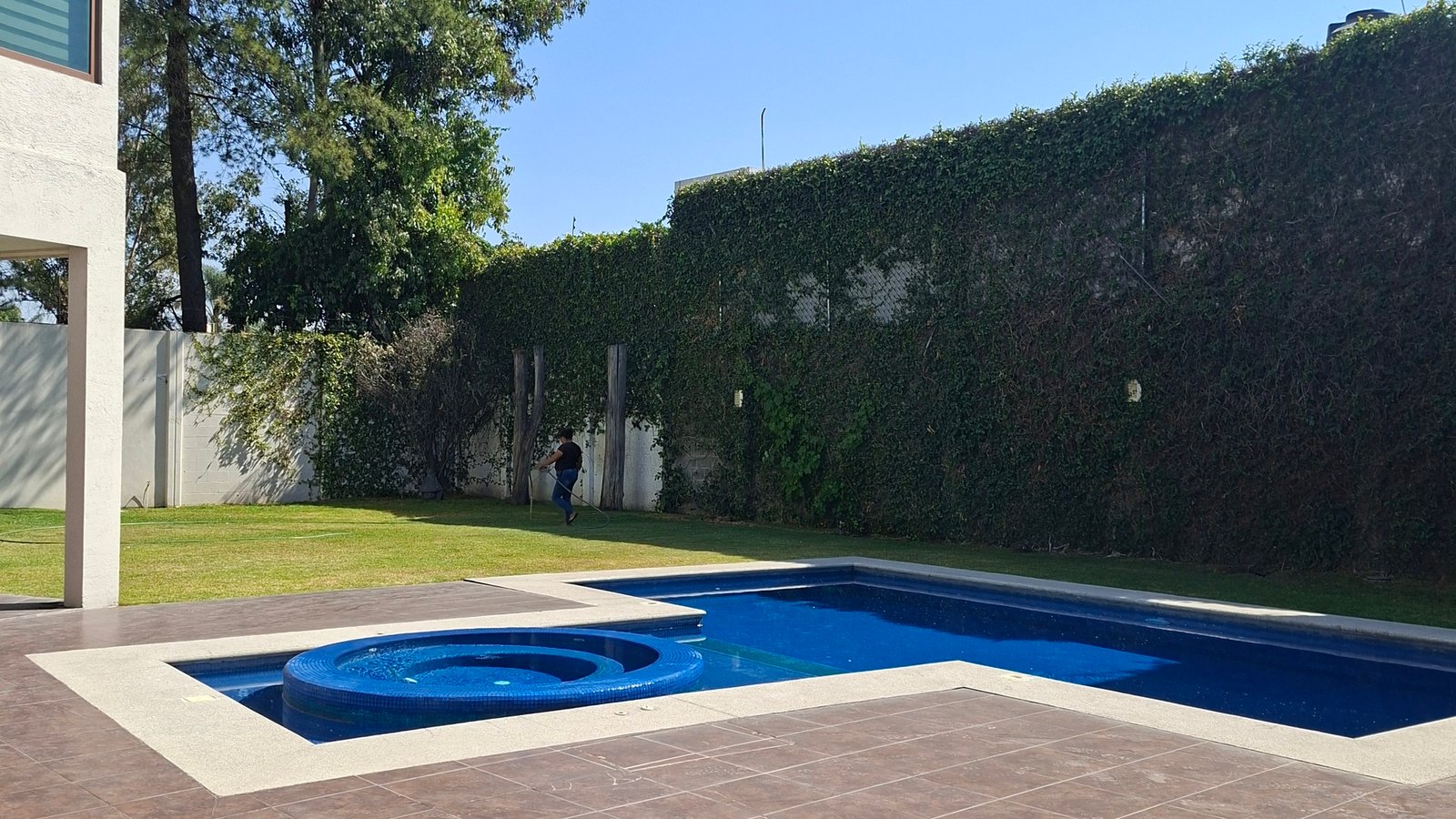 20260212_111810_cropped_processed_by_imagy