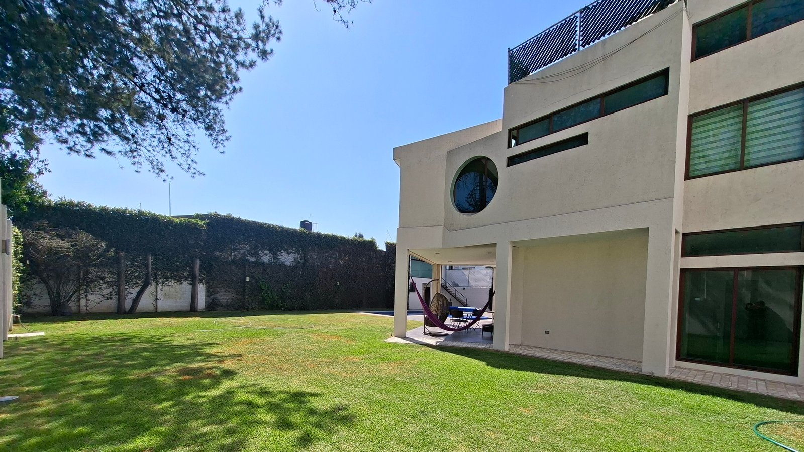 20260212_112144_cropped_processed_by_imagy