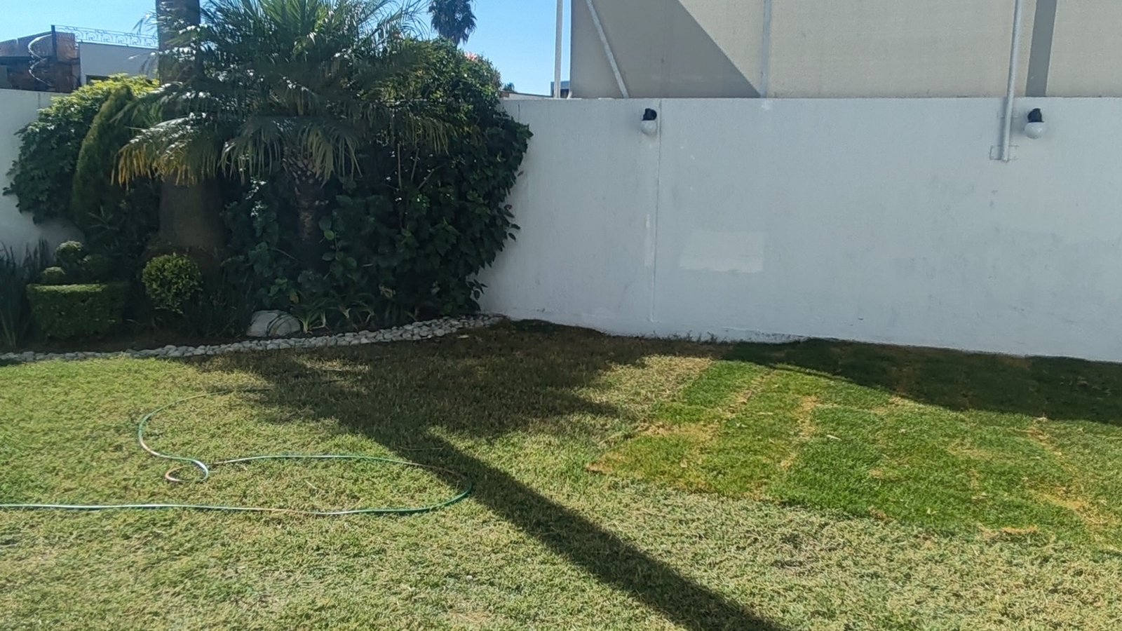 IMG_20260203_104442-1