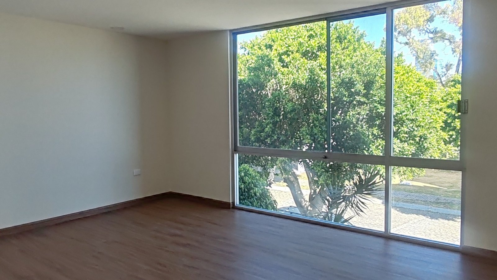 IMG_20260203_104616-1