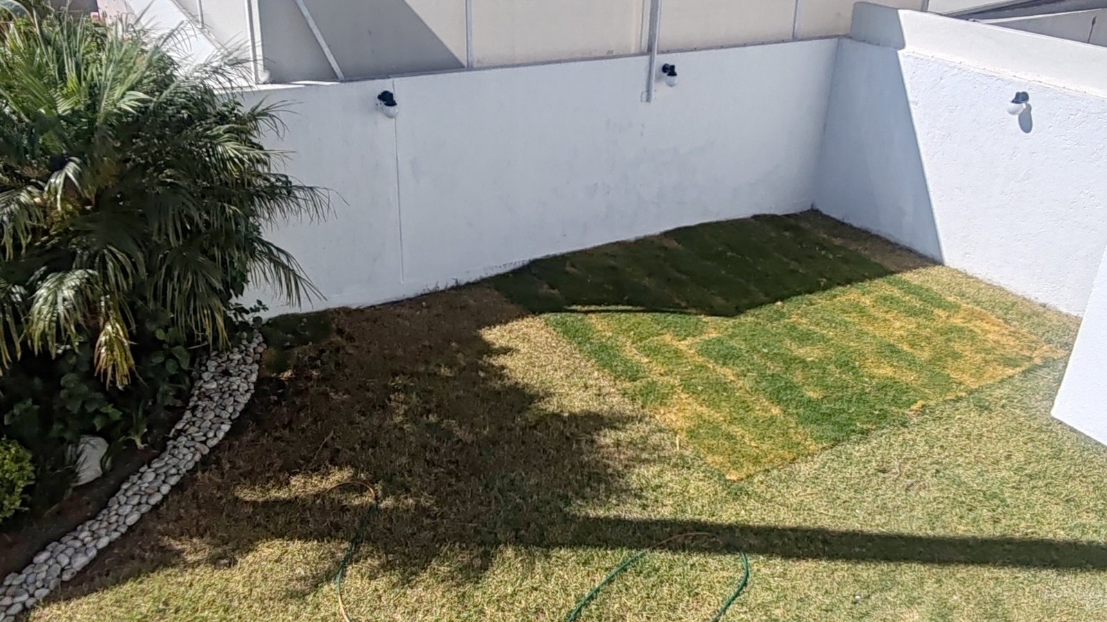 IMG_20260203_104809-1